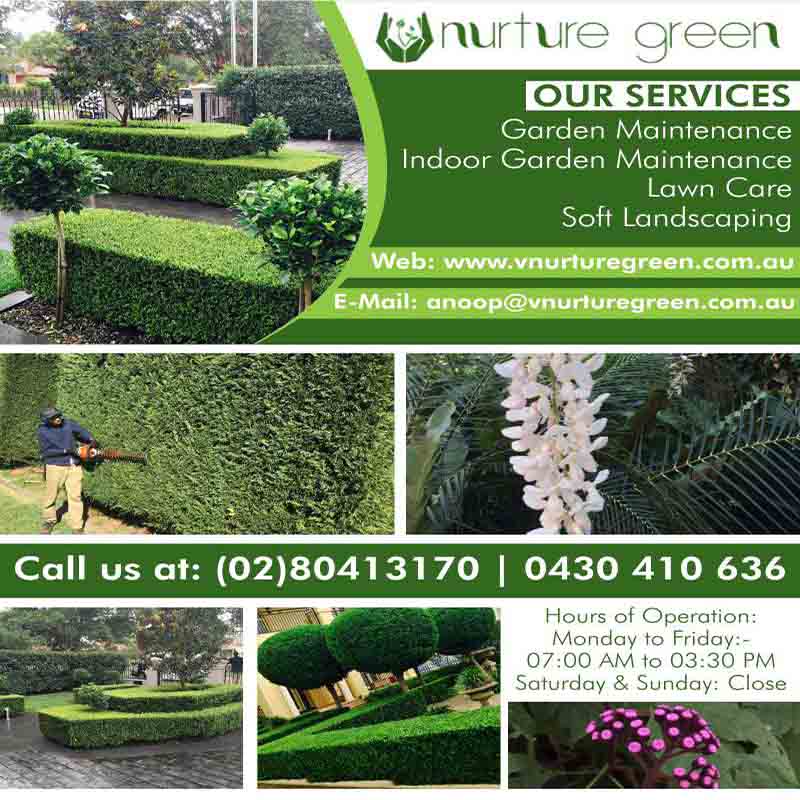 V NURTURE GREEN PTY LTD | Garden service in Sydney cbd
